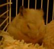 Zzzzz...